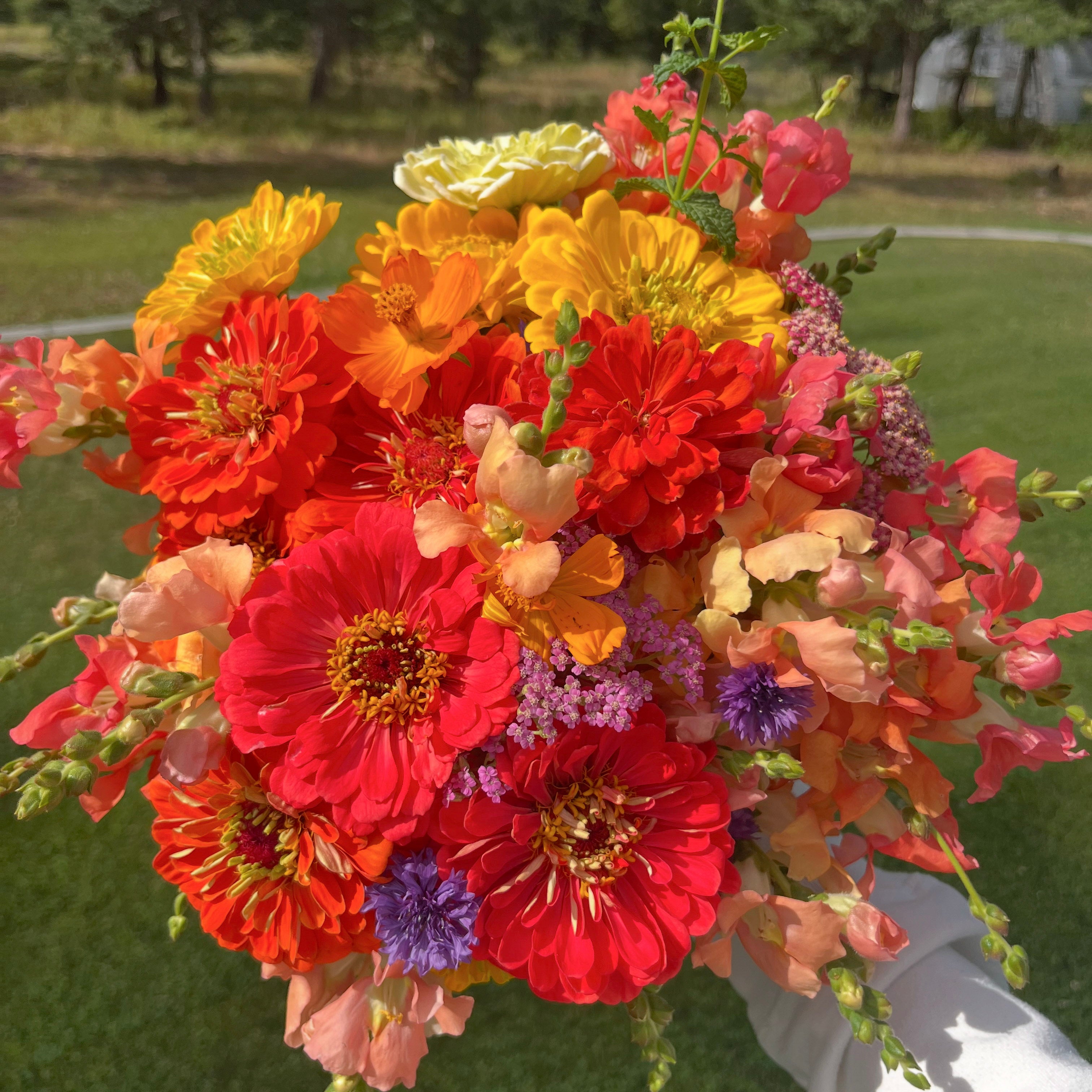 6-Week Summer Plus Subscription