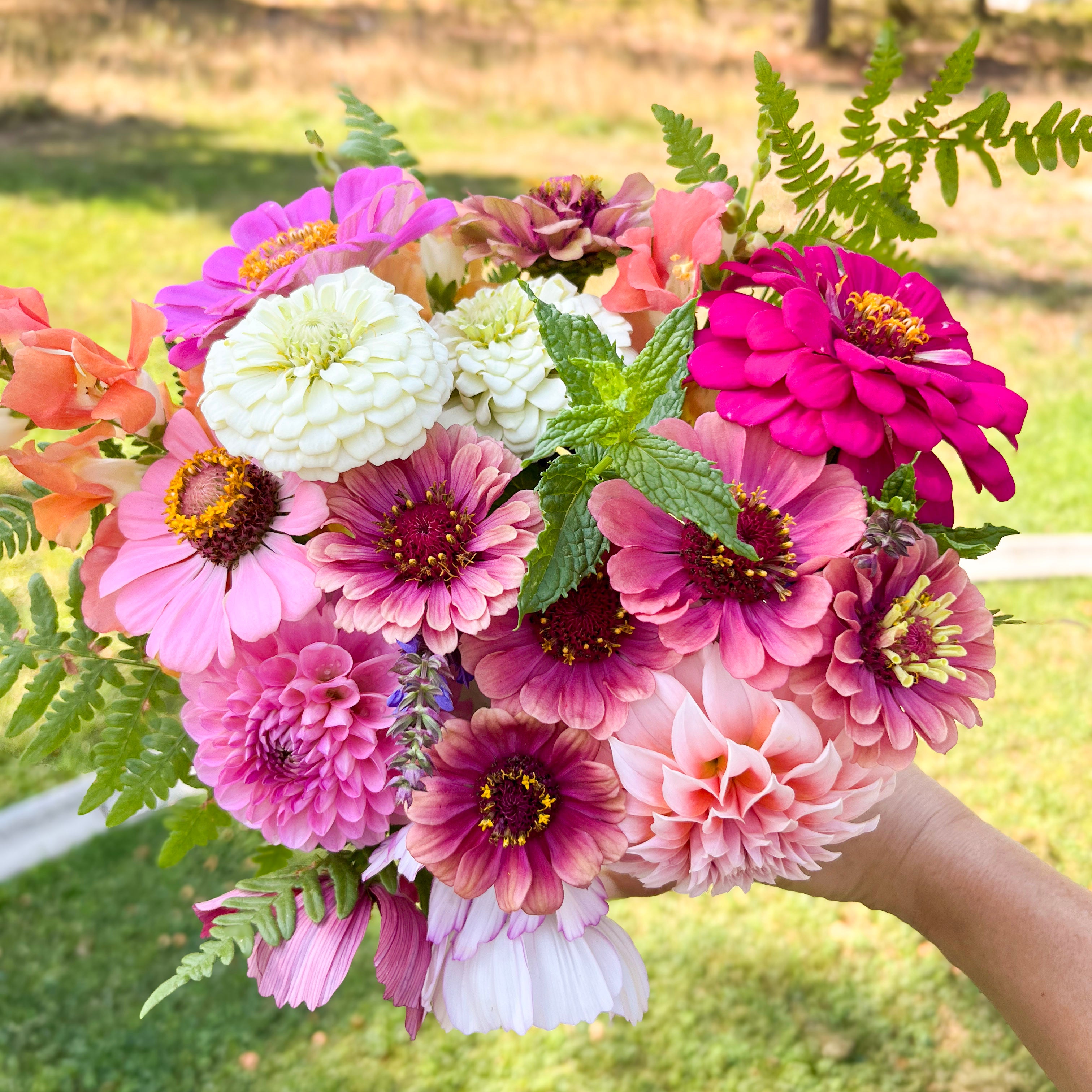 6-Week Summer Subscription