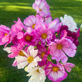 Seasonal Flower Bouquet