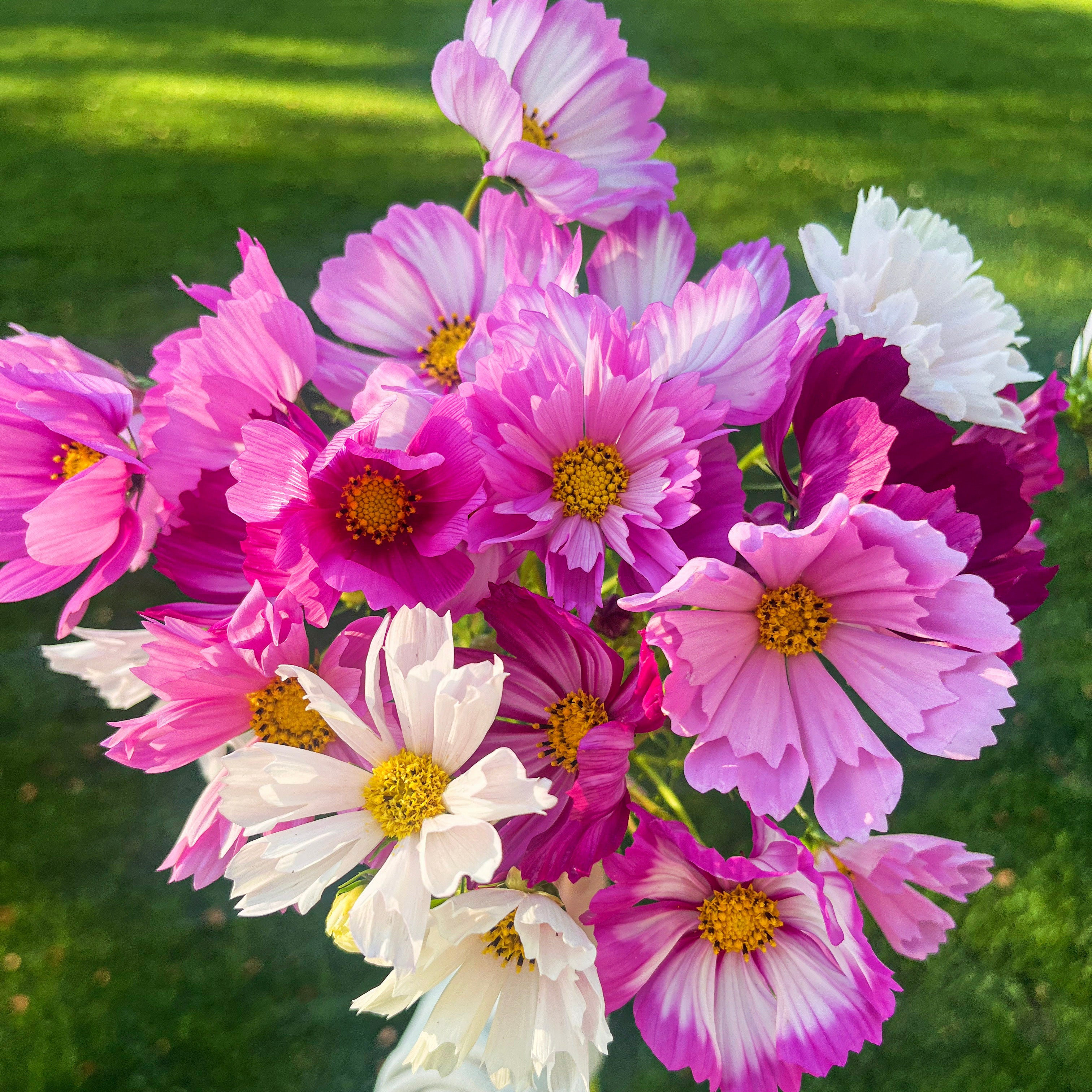 Seasonal Flower Bouquet