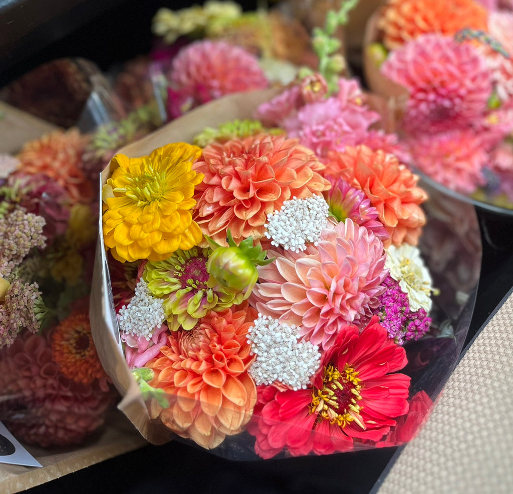 6-Week Summer Subscription