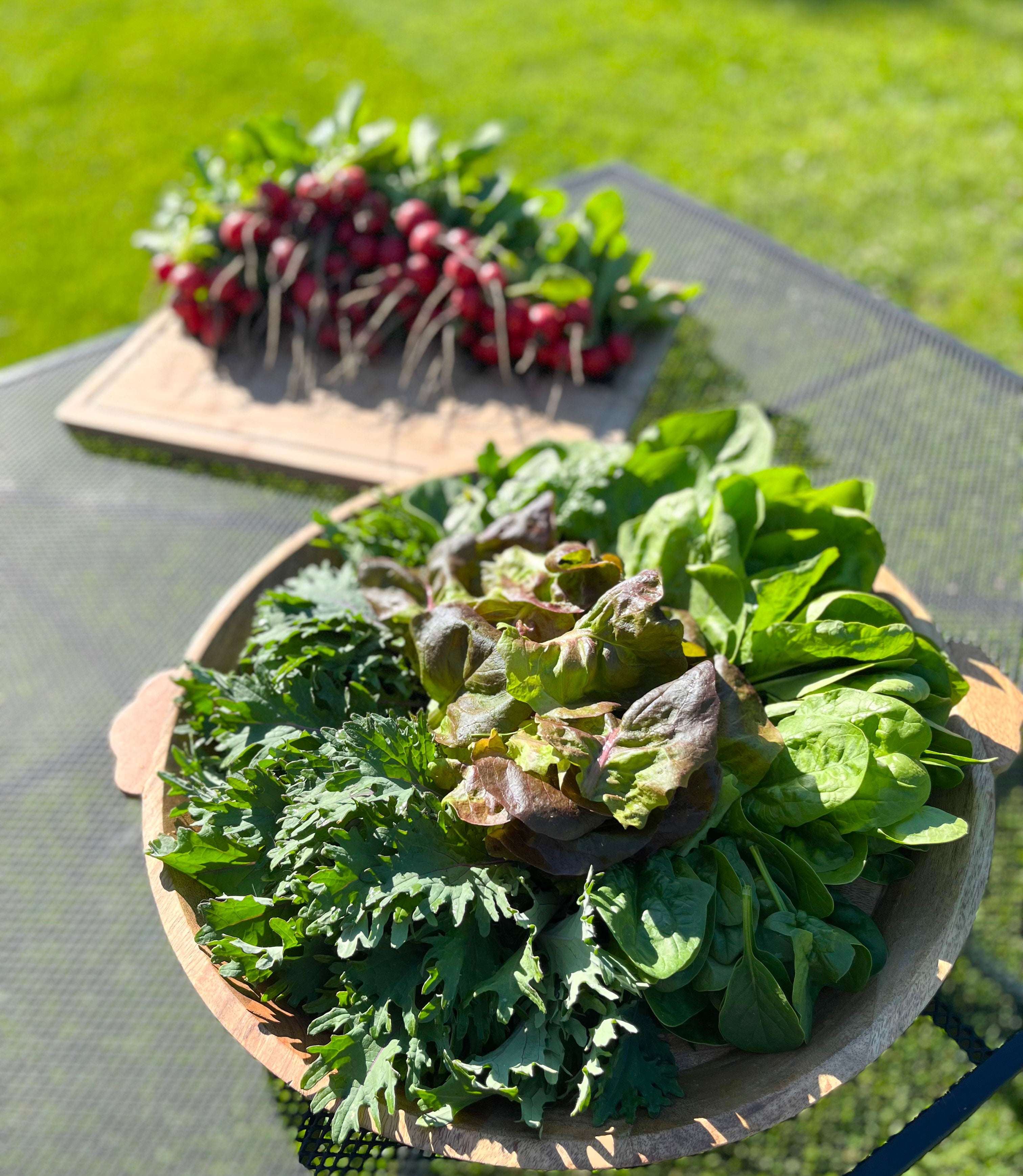 6-Week Summer Plus Subscription